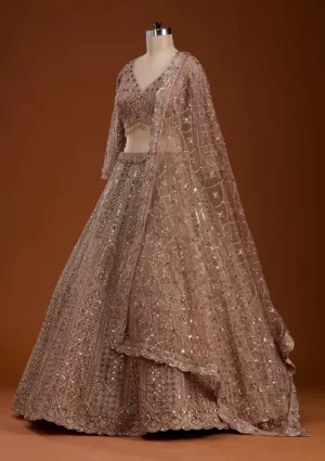 Gold Zariwork Light Peach Net Stitched Lehenga Blouse With Dupatta
